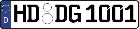 HD-DG1001