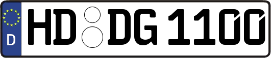 HD-DG1100