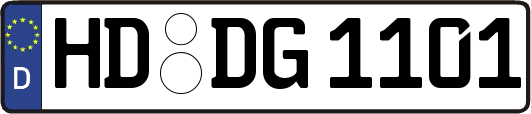 HD-DG1101