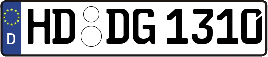 HD-DG1310