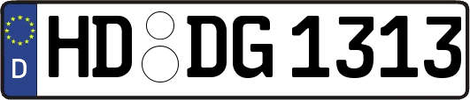 HD-DG1313