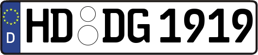 HD-DG1919