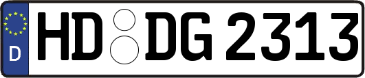 HD-DG2313