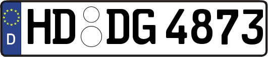 HD-DG4873