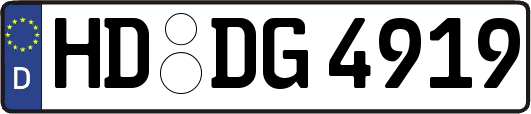 HD-DG4919