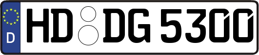 HD-DG5300