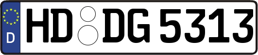 HD-DG5313