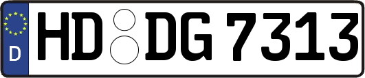 HD-DG7313