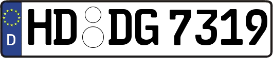 HD-DG7319