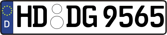 HD-DG9565