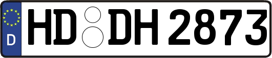 HD-DH2873