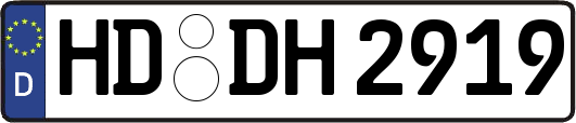 HD-DH2919