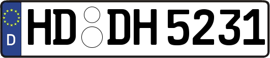 HD-DH5231