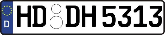 HD-DH5313