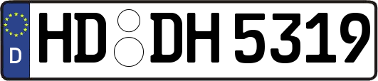 HD-DH5319