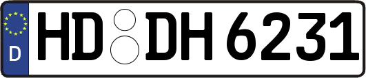 HD-DH6231