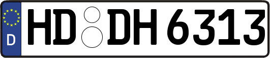 HD-DH6313