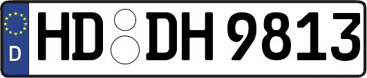 HD-DH9813