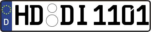 HD-DI1101
