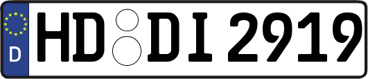 HD-DI2919