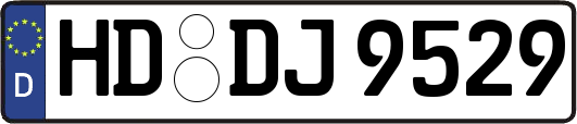 HD-DJ9529