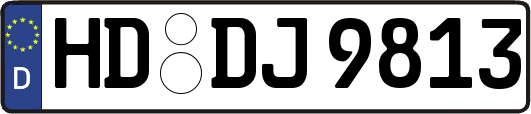 HD-DJ9813