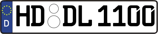 HD-DL1100