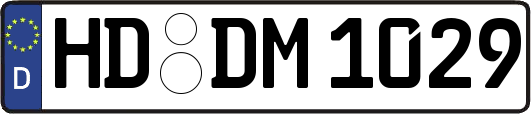 HD-DM1029