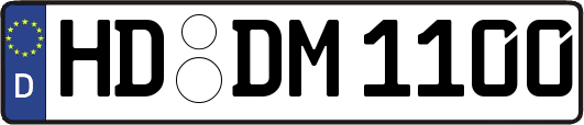 HD-DM1100