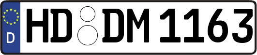 HD-DM1163