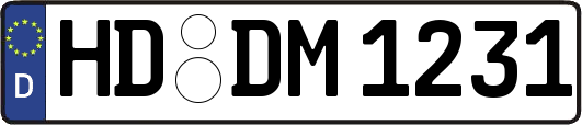 HD-DM1231