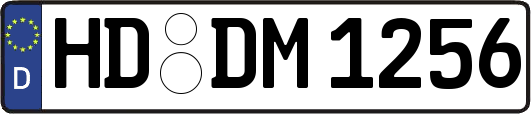 HD-DM1256