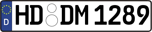 HD-DM1289