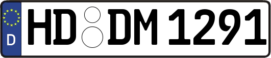 HD-DM1291