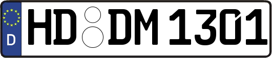 HD-DM1301