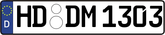 HD-DM1303