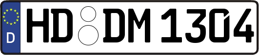 HD-DM1304