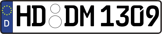 HD-DM1309
