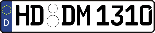 HD-DM1310
