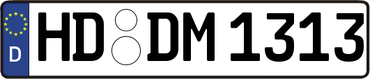 HD-DM1313