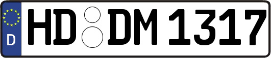 HD-DM1317