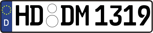 HD-DM1319