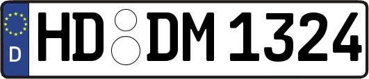 HD-DM1324