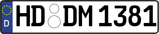 HD-DM1381