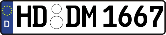 HD-DM1667