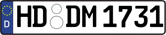 HD-DM1731
