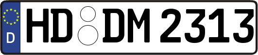 HD-DM2313