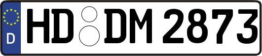 HD-DM2873