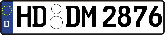 HD-DM2876