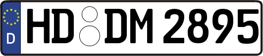 HD-DM2895